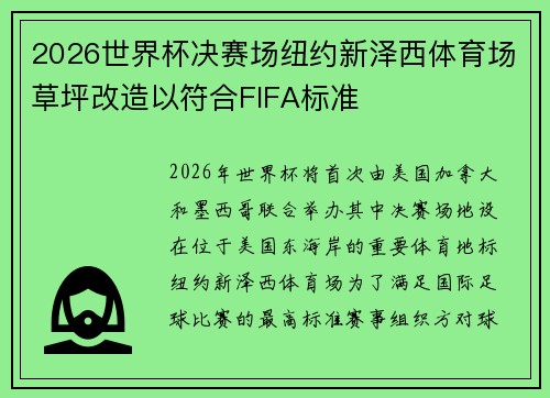 2026世界杯决赛场纽约新泽西体育场草坪改造以符合FIFA标准 2026世界杯决赛场纽约新泽西体育场草坪改造以符合FIFA标准